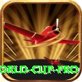 2019 world cup Cash Master