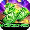 australian cricket Live Champion v1.8.6