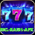 bbl big bash apk Pro Edition v4.3.2