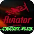 bbl cricket Max v3.5.5