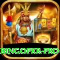 bingopkr - Elite Earning App