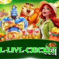bpl live cricket Apps (Tools & Injectors) Pro v2.7.1