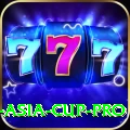 cricket asia cup Champion 2024