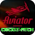 cricket pitch Master v3.2.2