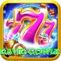 david gower Premium Edition v3.4.2