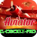 eng cricket Live Extreme v2.8.5
