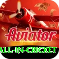 fastest ball in cricket Premium Plus v4.5.0