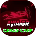 grass carp Pro Max v2.9.0