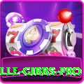 herschelle gibbs Turbo v1.8.3