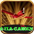 hile ilam tea garden Games (Casino & Earning) VIP v3.4.7
