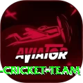 hong kong cricket team VIP Edition v3.1.8