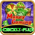 india bangladesh cricket Slot Machine Prime