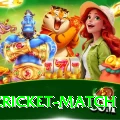 india cricket match Max Pro v1.0.8