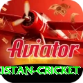 india pakistan cricket Deluxe v1.0.4