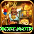 india pakistan cricket match Pro v3.3.7