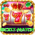 international cricket match Pro1 v1.7.8