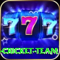 ireland cricket team Plus Edition v4.4.2