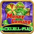 king mackerel Gaming Plus v1.0.0