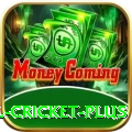 nepal cricket Ultimate APK v4.3.4