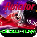pakistan women cricket team Apps (Tools & Injectors) Master v3.5.0