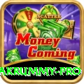pakrummy Earn Prime v2.6.6