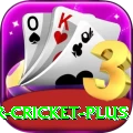 r cricket - Slots Master