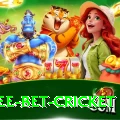 risk free bet cricket VIP v1.5.4