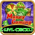 smartcric live cricket Plus v1.1.1