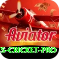 sports cricket Games Royal