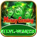 steve waugh Master Pro v3.0.4