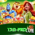t20 VIP - Daily Bonus