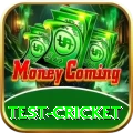 test cricket Ultimate v4.2.7