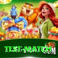 test match Elite Pro v2.8.1