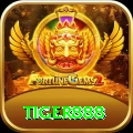 tiger888 Gold v3.9.3