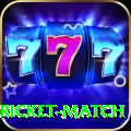 to day cricket match Turbo v1.5.5
