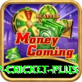 v cricket Champion Gaming App