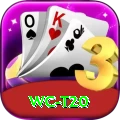 wc t20 Plus Edition v3.4.7