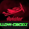 willow cricket VIP Pro v1.0.1