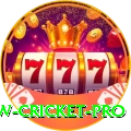willow cricket Max Casino App