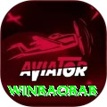winbaobab VIP v2.2.0