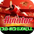 world t20 schedule Premium v3.4.2